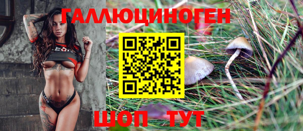 Псилоцибиновые грибы Psilocybine cubensis  Вход с VPN  Пугачёв 